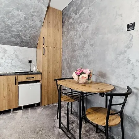Room Apartment Novi Sad