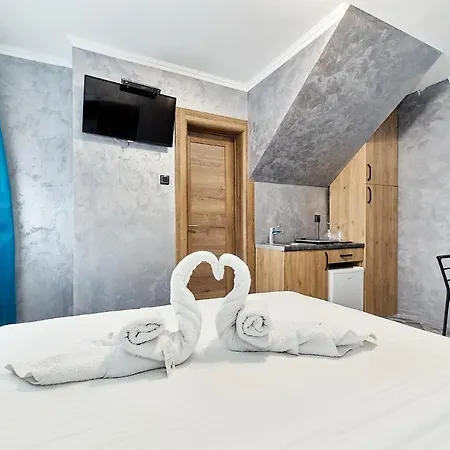Room Apartment Novi Sad